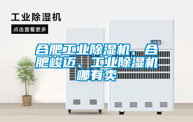 合肥工業(yè)除濕機(jī)、合肥峻邁、工業(yè)除濕機(jī)哪有賣
