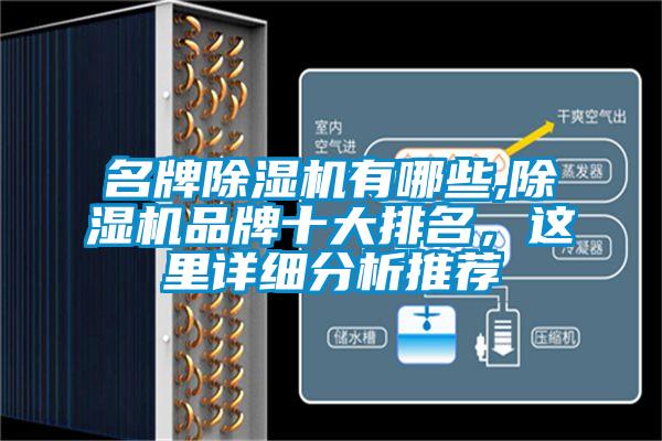 名牌除濕機(jī)有哪些,除濕機(jī)品牌十大排名，這里詳細(xì)分析推薦