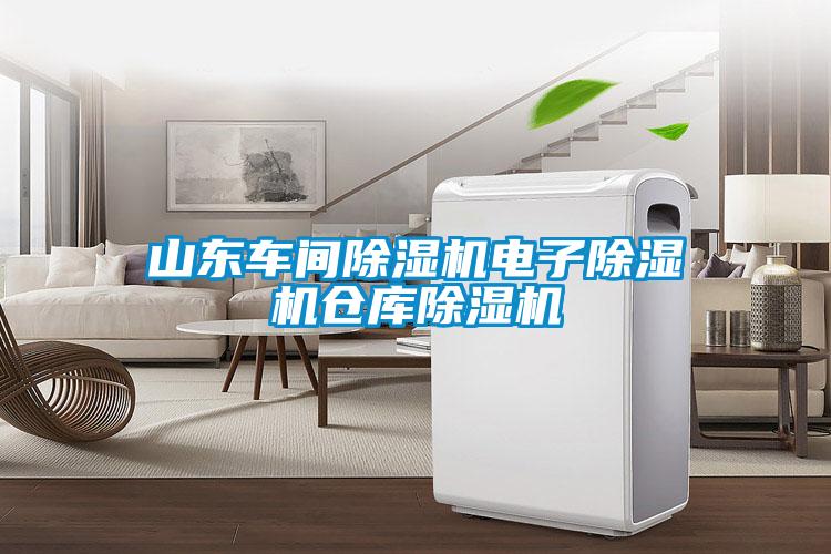 山東車間除濕機(jī)電子除濕機(jī)倉庫除濕機(jī)