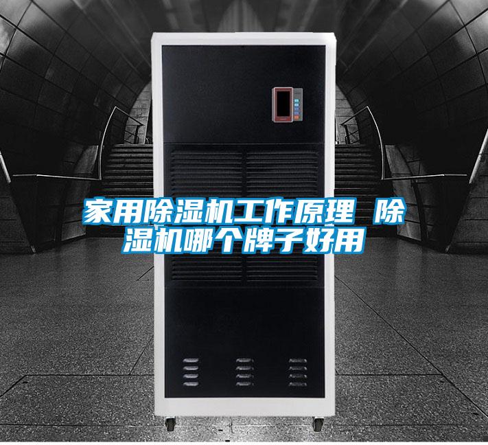 家用除濕機(jī)工作原理 除濕機(jī)哪個牌子好用