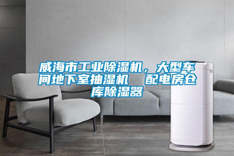 威海市工業(yè)除濕機(jī)，大型車間地下室抽濕機(jī)  配電房倉庫除濕器
