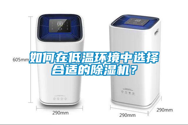 如何在低溫環(huán)境中選擇合適的除濕機(jī)？