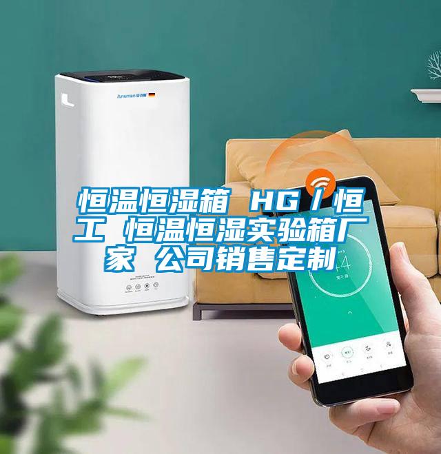 恒溫恒濕箱 HG／恒工 恒溫恒濕實(shí)驗(yàn)箱廠家 公司銷售定制