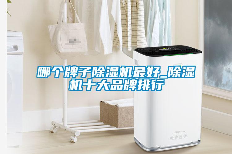 哪個牌子除濕機(jī)最好_除濕機(jī)十大品牌排行