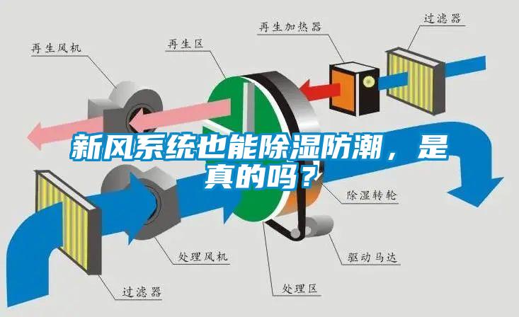 新風(fēng)系統(tǒng)也能除濕防潮，是真的嗎？
