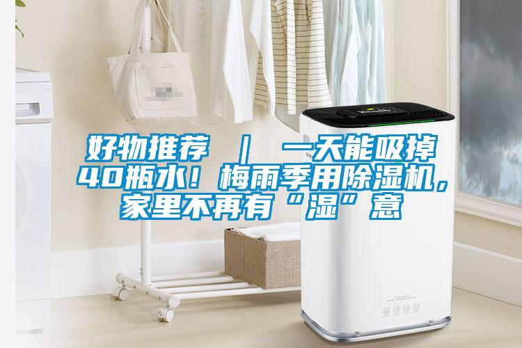 好物推薦 ｜ 一天能吸掉40瓶水！梅雨季用除濕機(jī)，家里不再有“濕”意