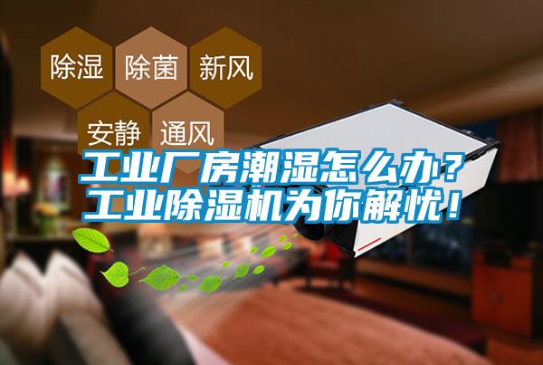 工業(yè)廠房潮濕怎么辦？工業(yè)除濕機(jī)為你解憂！