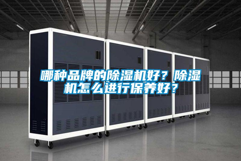 哪種品牌的除濕機好？除濕機怎么進行保養(yǎng)好？