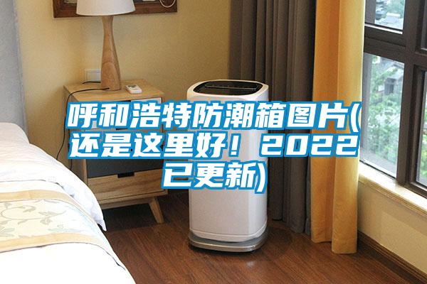 呼和浩特防潮箱圖片(還是這里好！2022已更新)