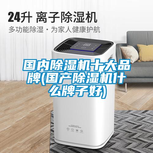 國(guó)內(nèi)除濕機(jī)十大品牌(國(guó)產(chǎn)除濕機(jī)什么牌子好)
