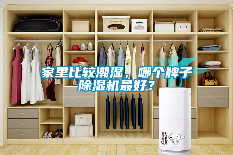 家里比較潮濕，哪個牌子除濕機(jī)最好？