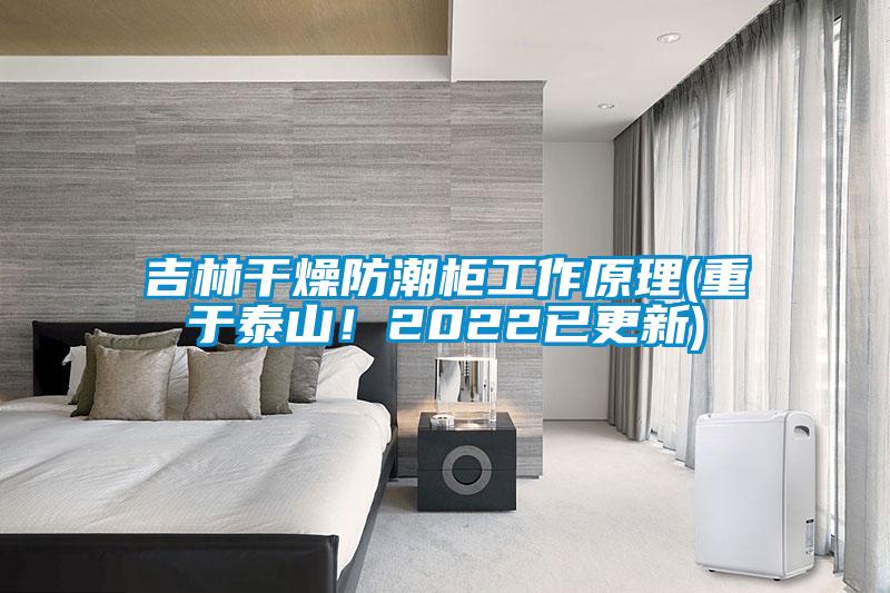 吉林干燥防潮柜工作原理(重于泰山！2022已更新)