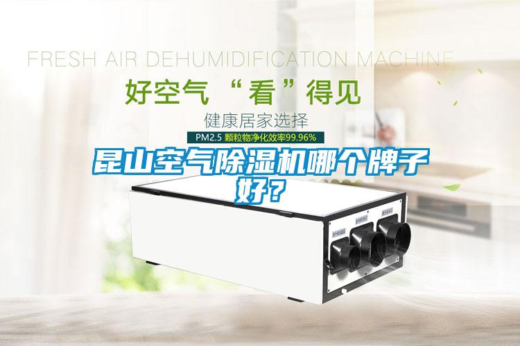 昆山空氣除濕機哪個牌子好？