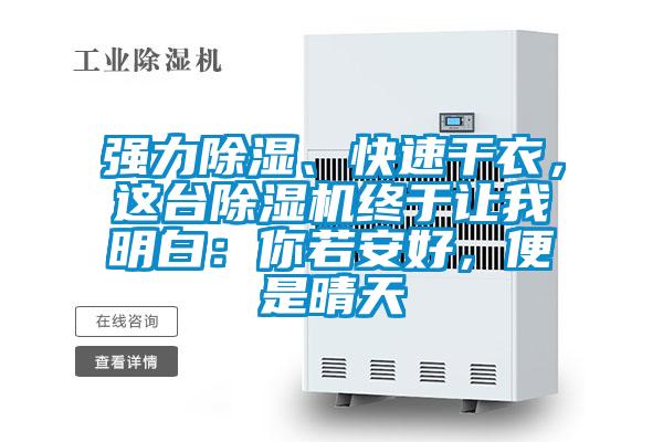 強(qiáng)力除濕、快速干衣，這臺(tái)除濕機(jī)終于讓我明白：你若安好，便是晴天