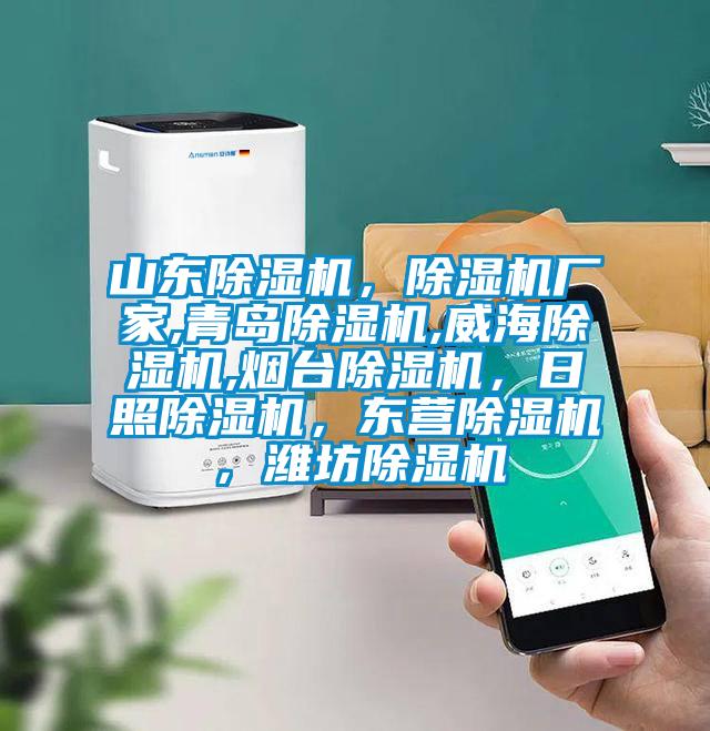 山東除濕機(jī)，除濕機(jī)廠家,青島除濕機(jī),威海除濕機(jī),煙臺(tái)除濕機(jī)，日照除濕機(jī)，東營(yíng)除濕機(jī)，濰坊除濕機(jī)