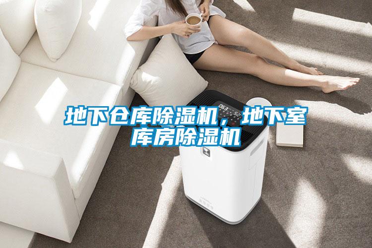 地下倉庫除濕機(jī)，地下室?guī)旆砍凉駲C(jī)