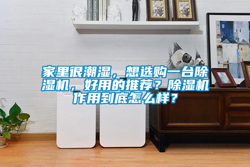 家里很潮濕，想選購一臺除濕機(jī)，好用的推薦？除濕機(jī)作用到底怎么樣？