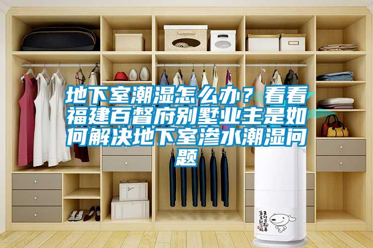 地下室潮濕怎么辦？看看福建百督府別墅業(yè)主是如何解決地下室滲水潮濕問題