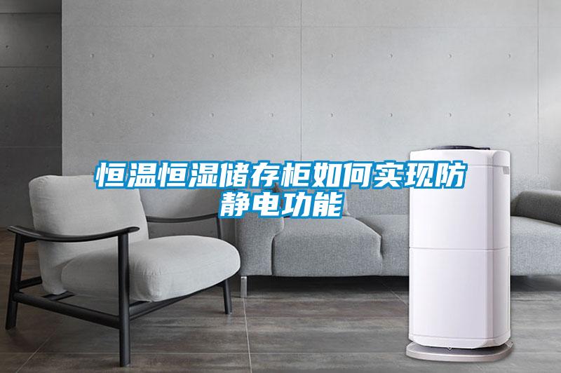 恒溫恒濕儲存柜如何實(shí)現(xiàn)防靜電功能