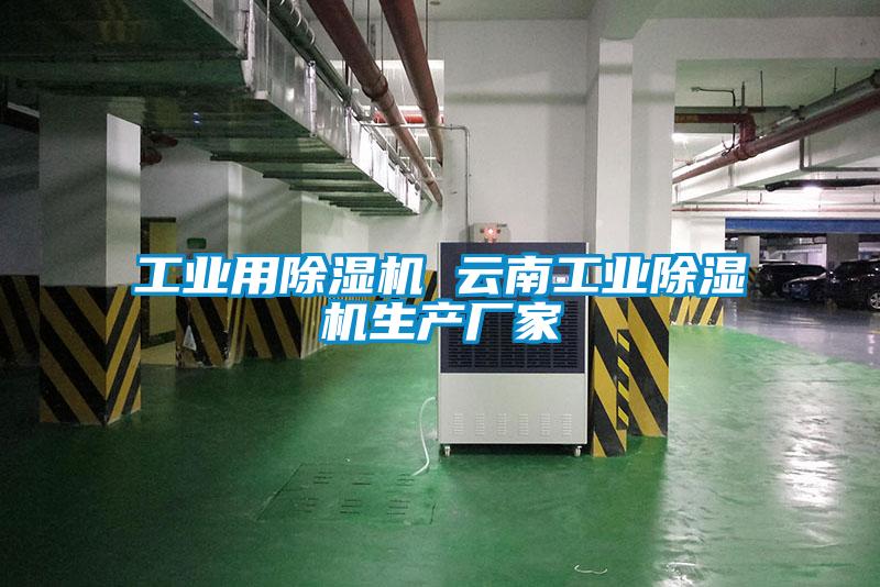 工業(yè)用除濕機 云南工業(yè)除濕機生產(chǎn)廠家