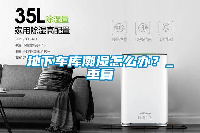 地下車(chē)庫(kù)潮濕怎么辦？_重復(fù)
