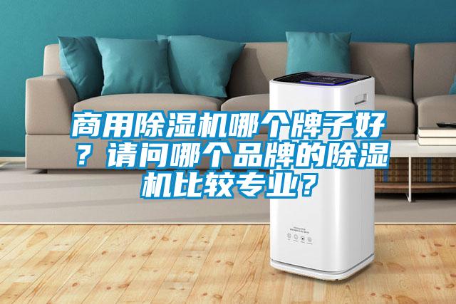商用除濕機哪個牌子好？請問哪個品牌的除濕機比較專業(yè)？