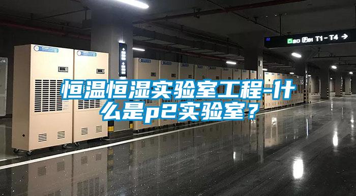 恒溫恒濕實(shí)驗(yàn)室工程-什么是p2實(shí)驗(yàn)室？