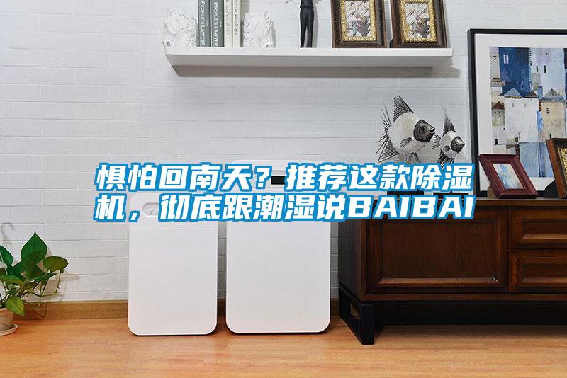 懼怕回南天？推薦這款除濕機，徹底跟潮濕說BAIBAI