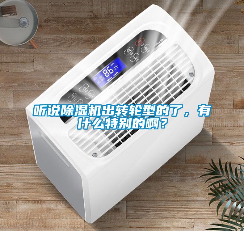 聽說除濕機出轉(zhuǎn)輪型的了，有什么特別的??？