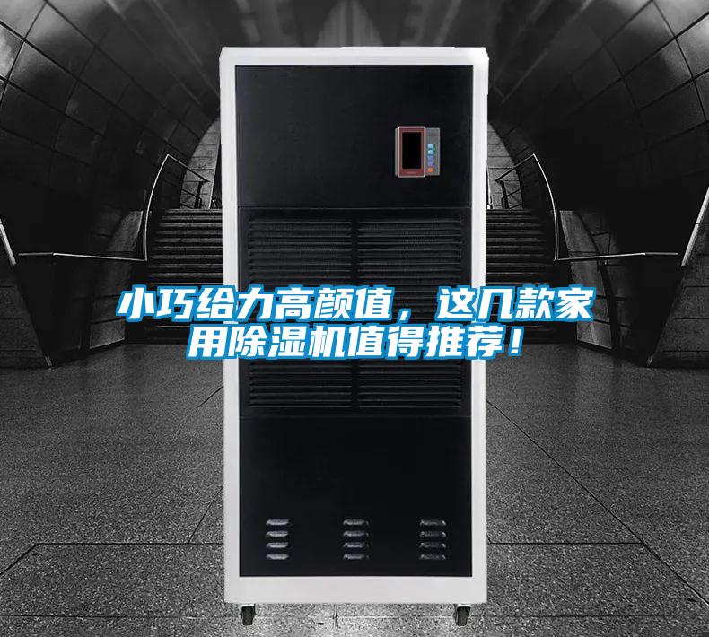 小巧給力高顏值，這幾款家用除濕機(jī)值得推薦！