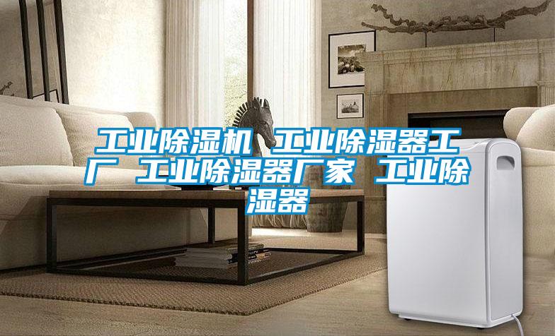 工業(yè)除濕機 工業(yè)除濕器工廠 工業(yè)除濕器廠家 工業(yè)除濕器