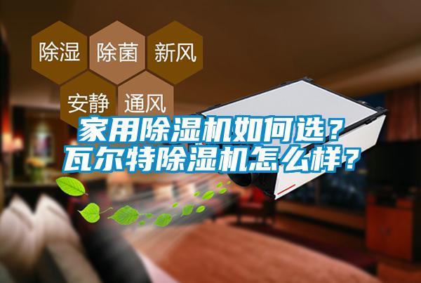 家用除濕機如何選？瓦爾特除濕機怎么樣？