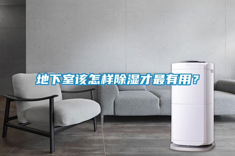 地下室該怎樣除濕才最有用？