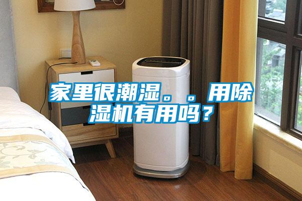 家里很潮濕。。用除濕機有用嗎？