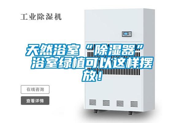 天然浴室“除濕器” 浴室綠植可以這樣擺放！