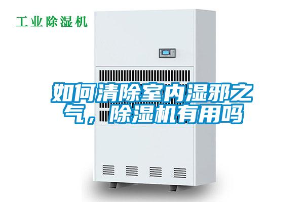 如何清除室內(nèi)濕邪之氣，除濕機有用嗎