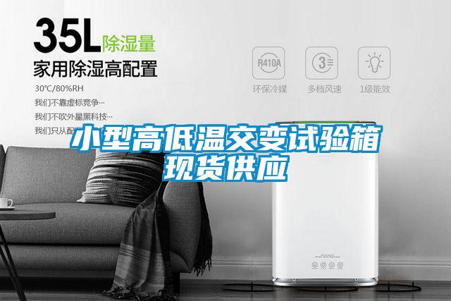 小型高低溫交變試驗(yàn)箱現(xiàn)貨供應(yīng)