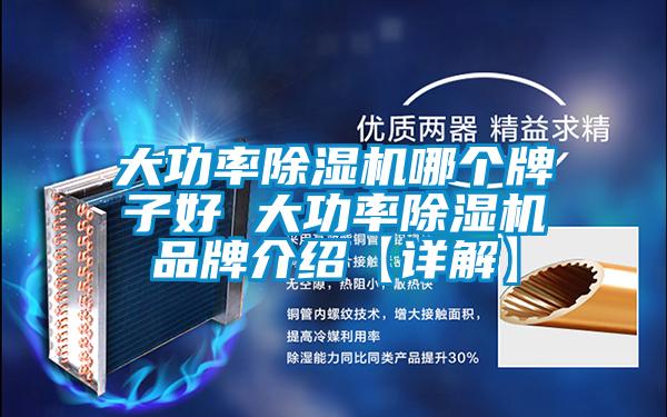 大功率除濕機(jī)哪個牌子好 大功率除濕機(jī)品牌介紹【詳解】