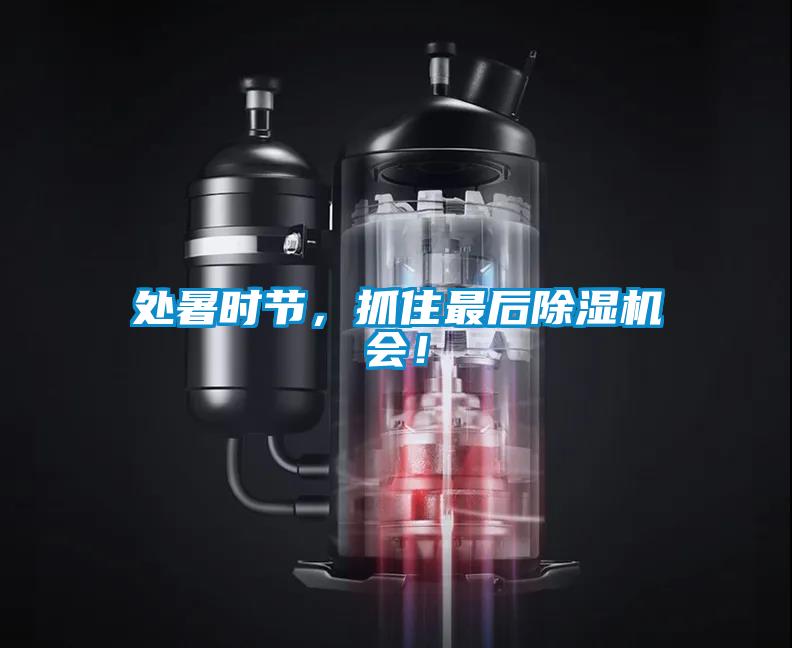 處暑時節(jié)，抓住最后除濕機會！