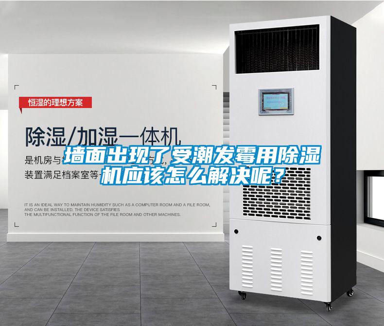 墻面出現(xiàn)了受潮發(fā)霉用除濕機(jī)應(yīng)該怎么解決呢？