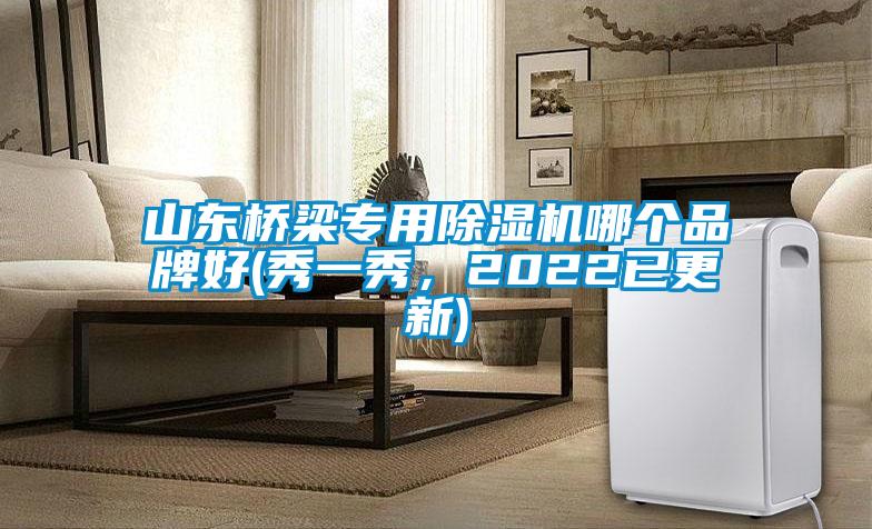 山東橋梁專用除濕機(jī)哪個品牌好(秀一秀，2022已更新)