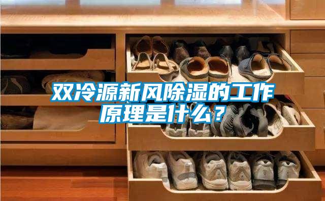 雙冷源新風(fēng)除濕的工作原理是什么？