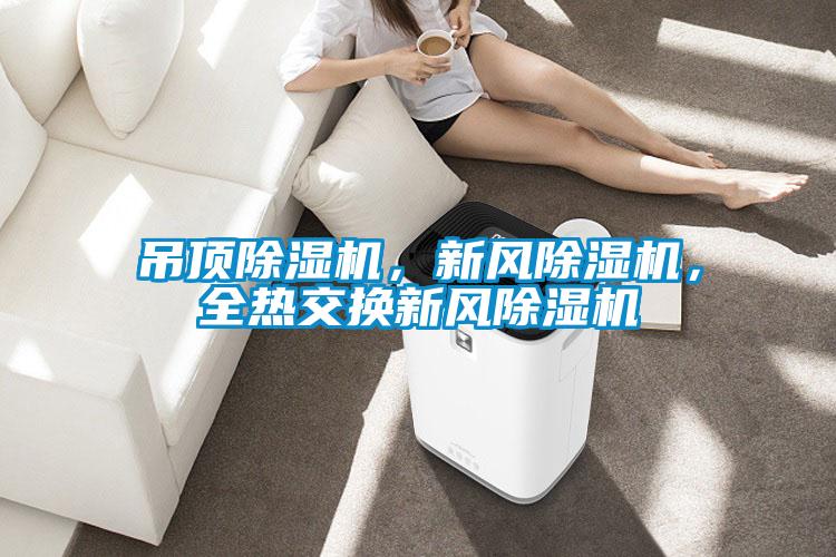 吊頂除濕機，新風除濕機，全熱交換新風除濕機