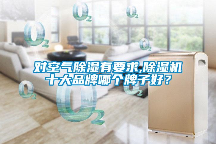 對空氣除濕有要求,除濕機十大品牌哪個牌子好？