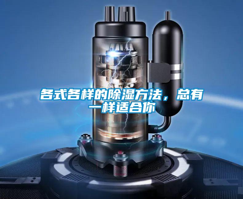 各式各樣的除濕方法，總有一樣適合你