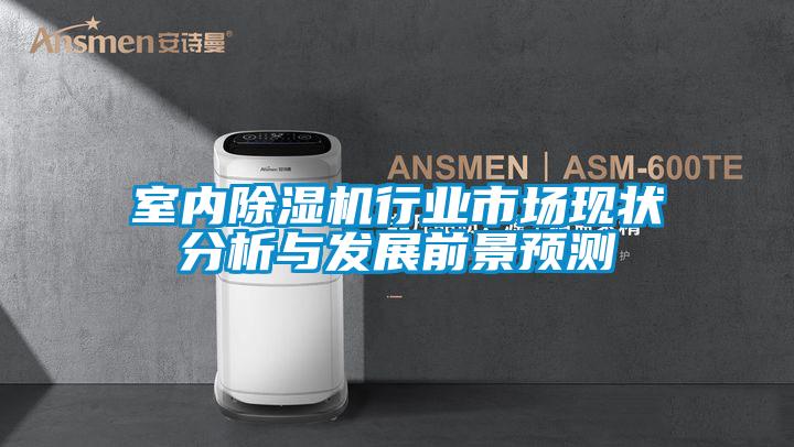 室內(nèi)除濕機行業(yè)市場現(xiàn)狀分析與發(fā)展前景預測