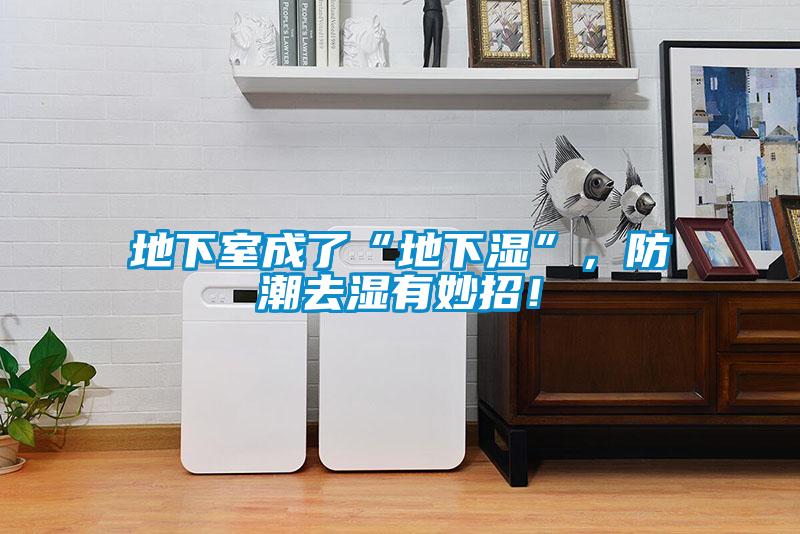 地下室成了“地下濕”，防潮去濕有妙招！
