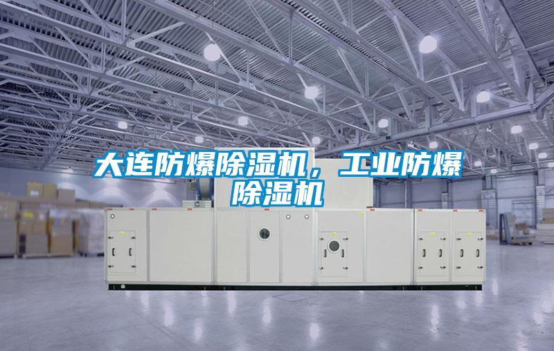 大連防爆除濕機，工業(yè)防爆除濕機