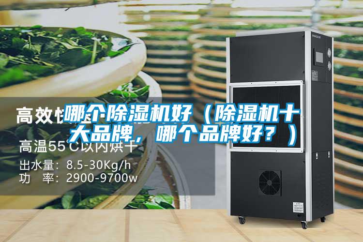 哪個除濕機(jī)好（除濕機(jī)十大品牌，哪個品牌好？）