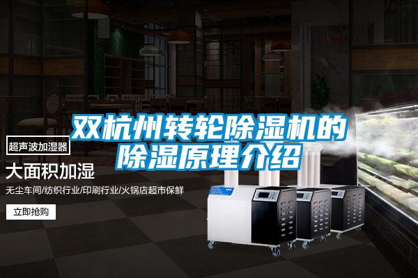 雙杭州轉(zhuǎn)輪除濕機的除濕原理介紹